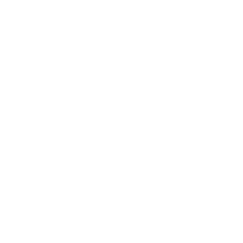 The Rapid Group